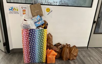 FunDrive 2024: Food, Furry Friends, and Community Giving!